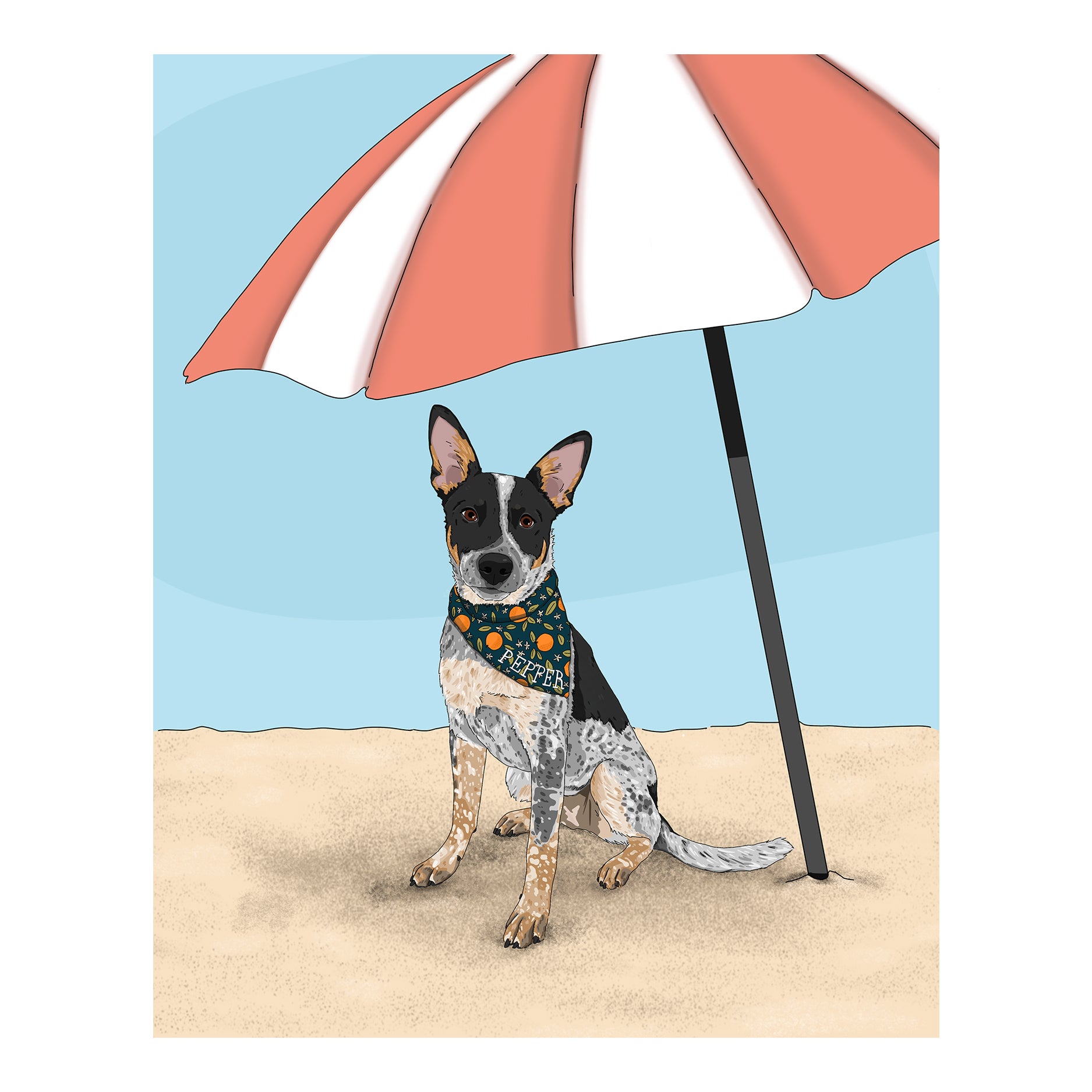 Custom Illustrations